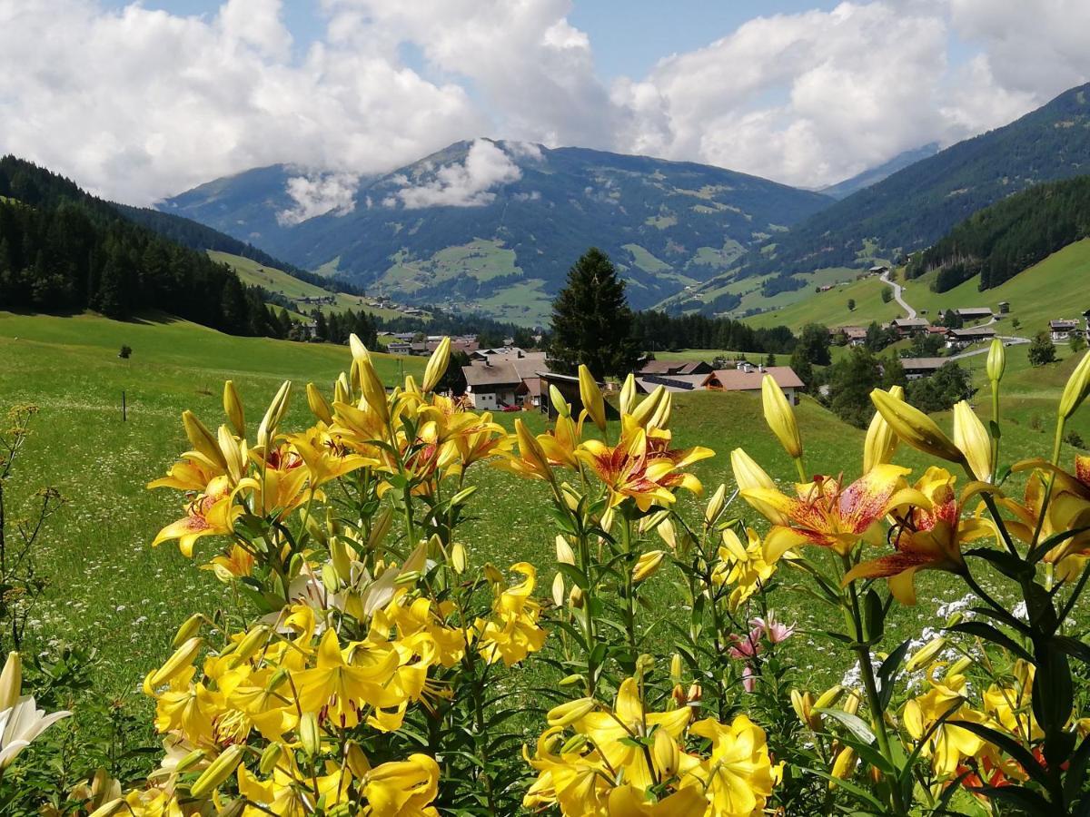 Apartment Haus Annemarie - Hochpustertal Kartitsch